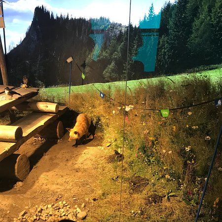 Museum des Tatra-Nationalparks